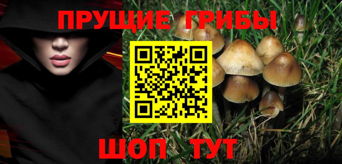 Псилоцибиновые грибы мухоморы  Галлюциногенные грибы MAGIC MUSHROOMS  Вход с VPN  Керчь 